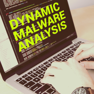Dynamic Malware Analysis
