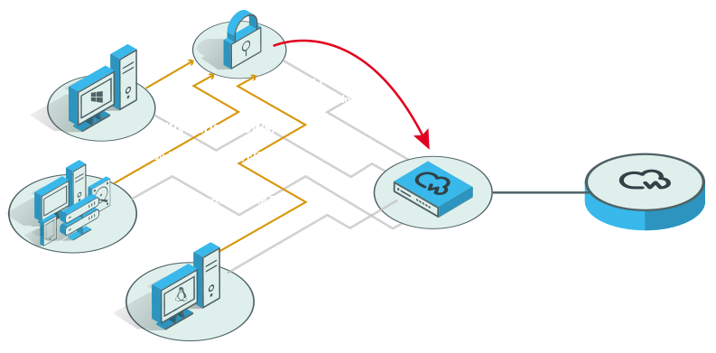 Enterprise Xcitium Network Visibility