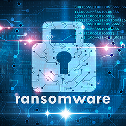 ransomware and law