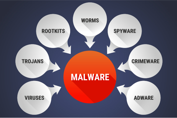 What does malware do?