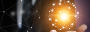 what is a zero trust network